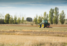 ¿Cómo proteger el suelo para una agricultura sostenible?