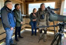 Unos 150 observadores participan en la elaboración del censo anual de aves acuáticas invernantes que elabora el Principado