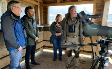 Unos 150 observadores participan en la elaboración del censo anual de aves acuáticas invernantes que elabora el Principado