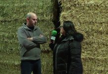 Entrevista a José Antonio Lorences de Almacenes Lorences