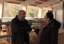 Entrevista a Ángel Rodríguez Castañón de ASEAMO