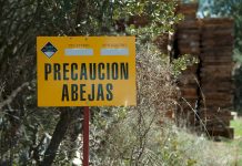 UPA denuncia el «caos» que impera en el sector apícola: «Hay que actuar ya»