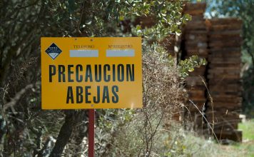 UPA denuncia el «caos» que impera en el sector apícola: «Hay que actuar ya»