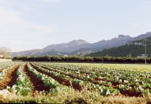 «El clamor del campo no puede ser ignorado»