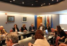 El Principado apuesta por convertir el Asturias Paraíso Natural International Cheese Festival en un gran evento anual