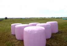 Delagro contribuye a la investigación contra el cáncer