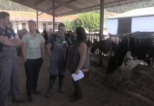 Entrevista a alumnos del Grado Superior de Ganadería y Asistencia en Sanidad Animal del IES de Luces
