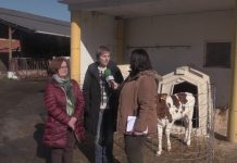 Entrevisa a Elsa Carbonell y Marisol Martínez del IES de Luces