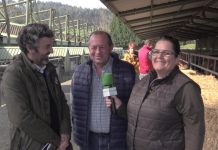 Entrevista a Alejandro Calvo y José Manuel González en la visita a ASEAVA