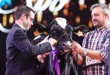 Alberto Medina: “Hemos conseguido el mejor resultado de la historia en la Swiss Expo, me siento orgulloso”