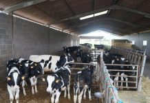 Desarrollo Rural fortalece los servicios esenciales que garantizan la actividad del sector primario y la cadena alimentaria