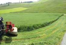 La agricultura, ganadería, pesca, industria alimentaria y sus actividades relacionadas son servicios esenciales