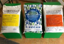 Lithoalgas, el producto de algas calcáreas fosilizadas indicado para las camas de animales