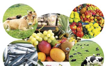 El campo, las manos que nos alimentan