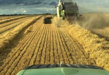 La Comisión Europea acepta ampliar el plazo de presentación de la PAC hasta el 15 de junio