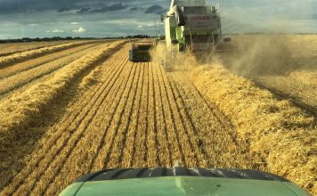 La Comisión Europea acepta ampliar el plazo de presentación de la PAC hasta el 15 de junio