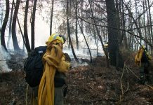 El Consejo de Ministros autoriza el encargo para el funcionamiento del dispositivo de extinción y prevención de incendios forestales