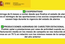 Medidas de apoyo para facilitar la gestión de cooperativas y ayudas a producciones agrarias estacionales