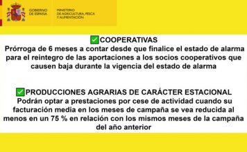 Medidas de apoyo para facilitar la gestión de cooperativas y ayudas a producciones agrarias estacionales