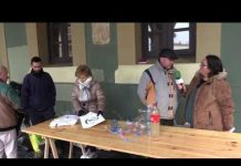 Entrevista a Pablo Osendi, coordinador de la campaña de control de avispa asiática en Tineo