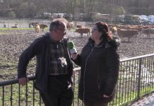 Entrevista a Toño García, regidor de pastos de la Montaña de Covadonga
