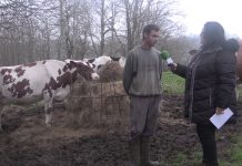 Entrevista a Jaime Vallina de Ganadería La Corba (Nava)