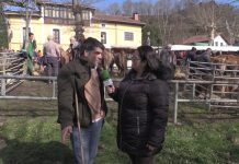 Entrevista a Nino Rodríguez, director general de Ganadería