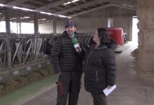 SAT Arenas (Cantabria) cuenta con el primer Lely Vector instalado en España