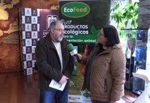 Entrevista a Javier Fernández, director técnico de Campoastur