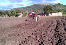 Aplicación del Real Decreto de Estado de Alarma en el sector agrícola, ganadero y pesquero