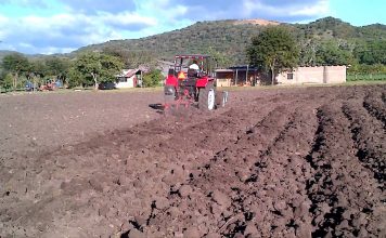 Aplicación del Real Decreto de Estado de Alarma en el sector agrícola, ganadero y pesquero