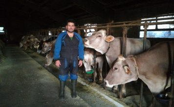 “En Asturias la raza Parda se está introduciendo en las ganaderías de leche, aporta calidades”