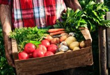 COPAE moviliza la entrega de alimentos ecológicos a domicilio en Asturias