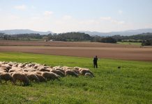 UPA reclama no dejar fuera de las ayudas al almacenamiento a ninguno de los afectados por la pandemia