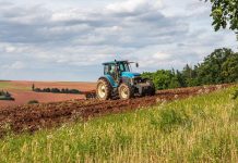 Reclaman a la CE una respuesta “unida y fuerte” en apoyo al sector agrario a través de la PAC
