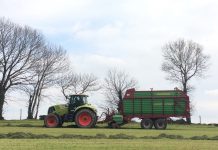 Inoculantes de ensilado, la herramienta de mejora de la rentabilidad