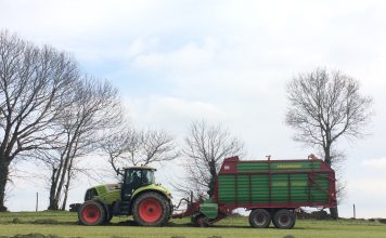 Inoculantes de ensilado, la herramienta de mejora de la rentabilidad