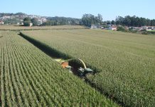 La importancia de obtener un silo de calidad