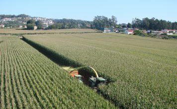 La importancia de obtener un silo de calidad