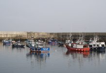 El vaivén del sector pesquero