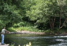 El Principado reincorpora mañana a los agentes del Medio Natural para dar cobertura a la autorización de la caza y la pesca