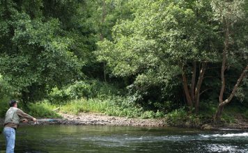 El Principado reincorpora mañana a los agentes del Medio Natural para dar cobertura a la autorización de la caza y la pesca