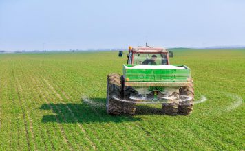 Nuevas estrategias para el abonado de maíz forrajero