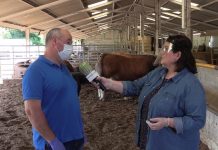 Entrevista a Simón Pérez, ganadero de Somiedo