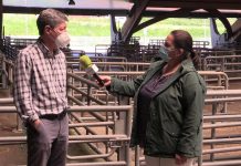 Entrevista a José Luis Díaz, director del Mercado Nacional de Ganados de Pola de Siero