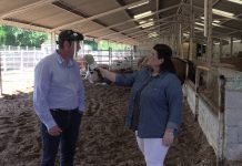 Entrevista a Gerardo Noval, responsable del Centro de Testaje de ASEAVA