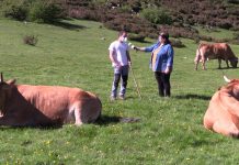Entrevista a Efrén García Cortina de Ganadería Hermanos Cortina de Campiello (Teverga)