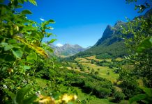 El Consejo de Ministros aprueba 130,7 millones para programas agrícolas, ganaderos y de desarrollo rural de las CCAA