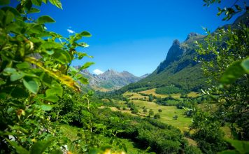 El Consejo de Ministros aprueba 130,7 millones para programas agrícolas, ganaderos y de desarrollo rural de las CCAA