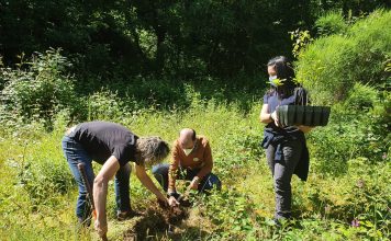 La Reserva de Muniellos también conmemoró el Día Mundial del Medio Ambiente